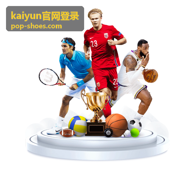 kaiyun官网登录指引图